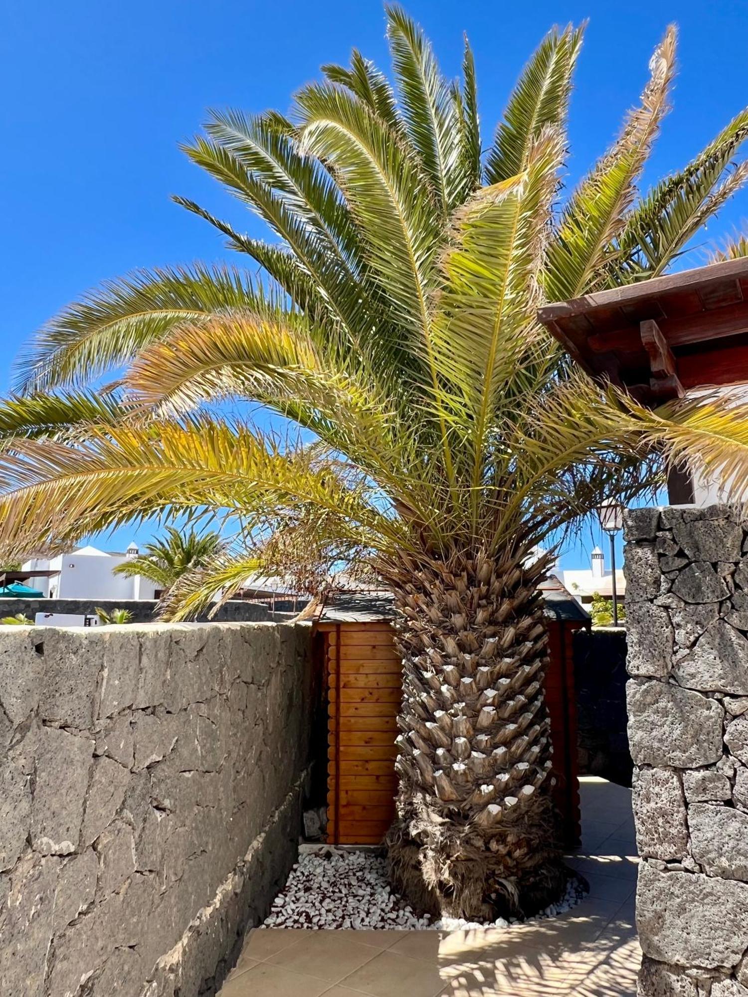 Villa Atienza 99 Playa Blanca  Exterior foto